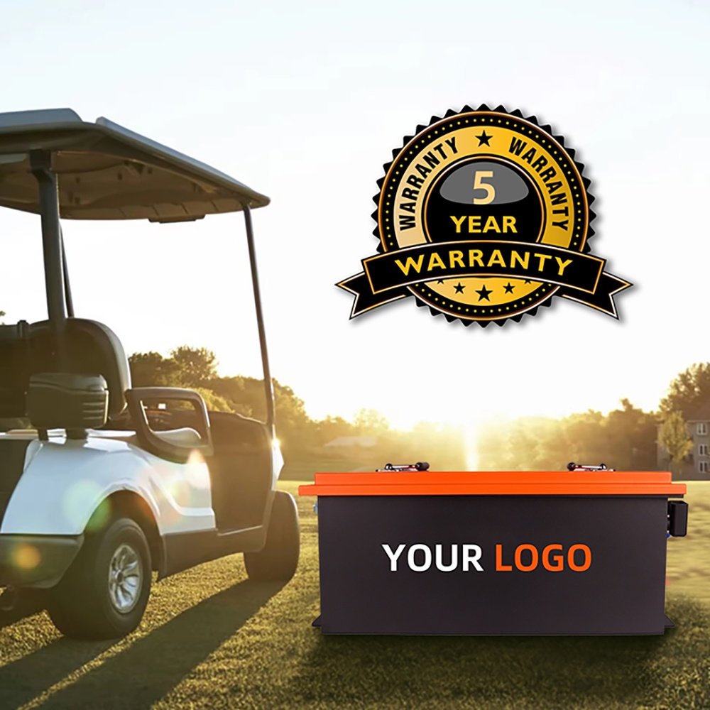 Battery OEM/YOUR LOGO