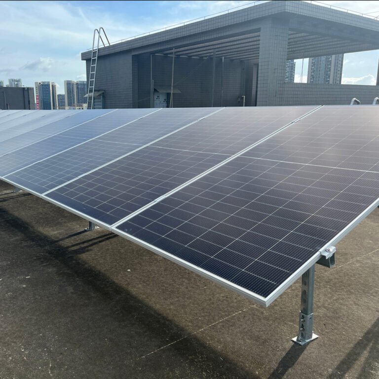 Project Statement in Cambodia-580w