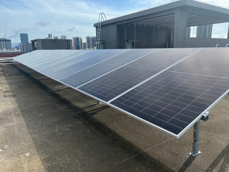 Project Statement in Cambodia